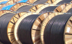 額定電壓0.61kV交聯(lián)聚乙烯絕緣