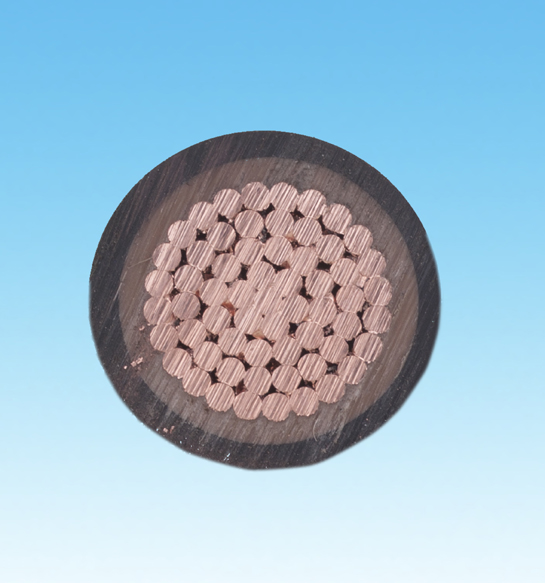 輻照系列電線電纜